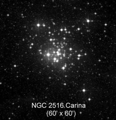 NGC
	2516