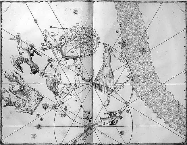 Bayer Drawing the Far Southern Constellations