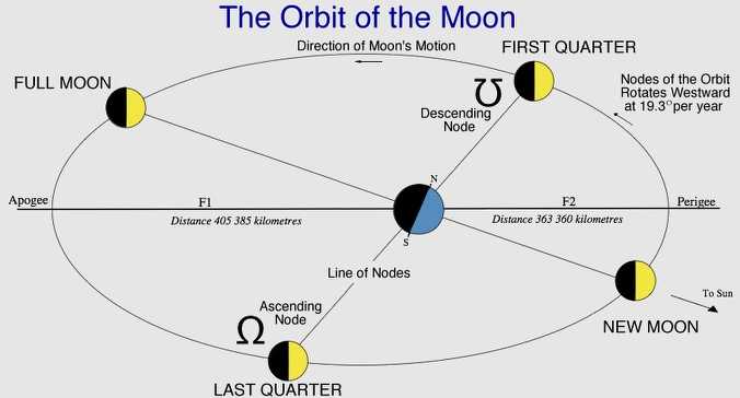 Lunar Orbit